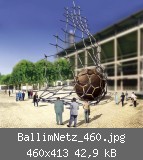 BallimNetz_460.jpg