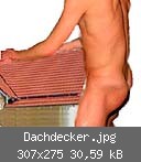 Dachdecker.jpg