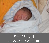 niklas2.jpg