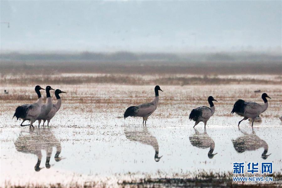 金沙3983娱乐_金沙3983娱乐注册_金沙3983娱乐app